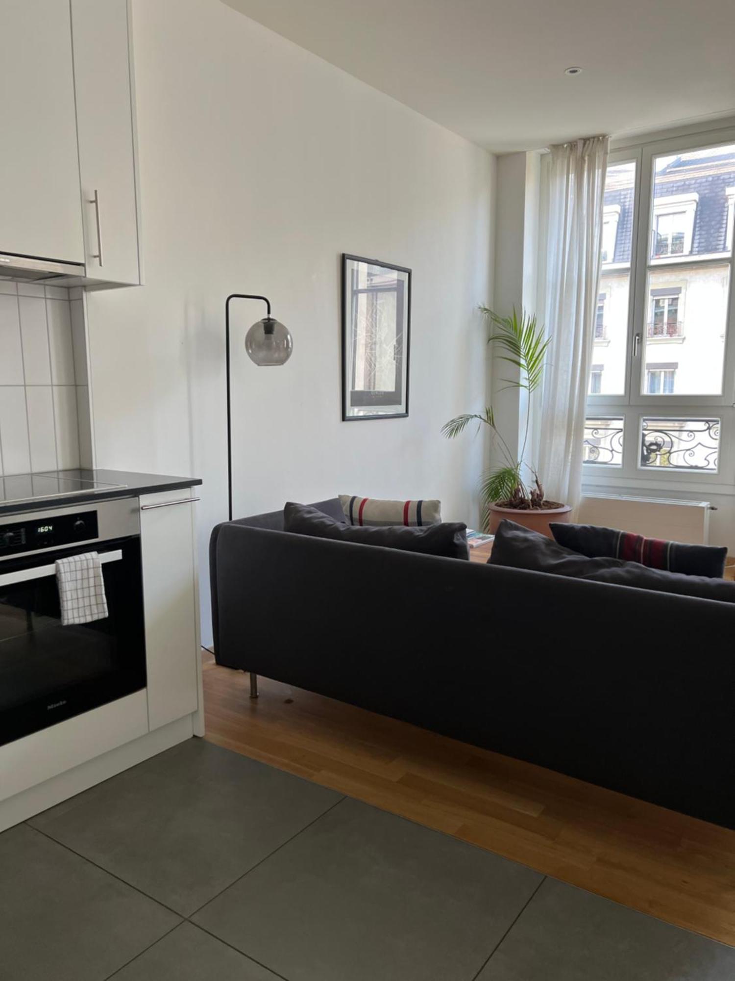 Luxury In Apartment Geneva