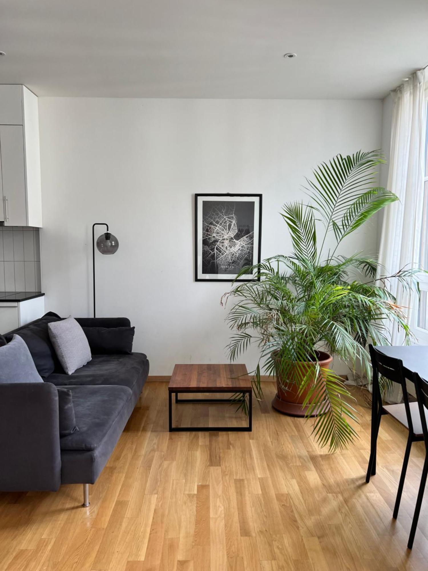 Appartement Luxury In